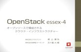 Open stack essex 4