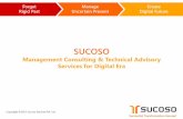 Sucoso Company Presentation (2017)