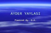 Ayder Yaylasi