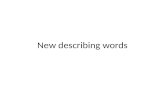 New describing words