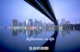 Reflection of life