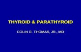 Thyroid and Parathyroid