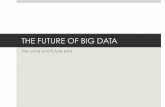 The Future of Big Data