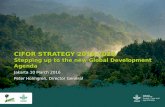 CIFOR Strategy 2016-2025