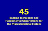 Imaging Techniques and Fundamental Observations for the Musculoskeletal System Dr. Muhammad Bin Zulfiqar
