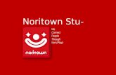 Noritown company introduction