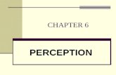 CHAPTER 6 PERCEPTION. Selective Attention Selective Attention: the focusing of conscious awareness on a particular stimulus.