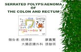 SERRATED POLYPS/AENOMA OF THE COLON AND RECTUM