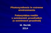 Photosynthesis in extreme environments Fotosyntéza rostlin v extrémních prostředích (v extrémech prostředí) M. Barták 2014.
