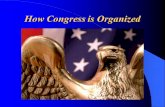 How Congress is Organized. “Separation of Powers” The 3 “branches” of government are: (LEJ) – Legislative Branch – make the laws – Executive Branch –