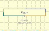 Eggs Foods I Objective 2.05.