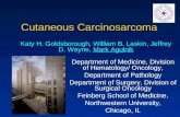 Cutaneous Carcinosarcoma Katy H. Goldsborough, William B. Laskin, Jeffrey D. Wayne, Mark Agulnik Department of Medicine, Division of Hematology/ Oncology,