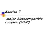Section 7 major histocompatible complex (MHC) major histocompatible complex (MHC)