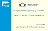Dangosyddion Cymraeg y Gweithle Welsh in the Workplace Indicators 1 Glenda Brown Swyddog Asesiadau Cymraeg yn y Gweithle (CiO) CBAC / Welsh in the Workplace.