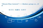 " Mouse Plus Cement "—— Wuhan group co., LTD 朱巧巧 陆嘉怡 田泽宇.