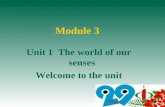 Unit 1 The world of our senses Welcome to the unit Module 3.