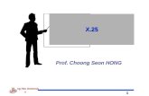 1 Kyung Hee University Prof. Choong Seon HONG X.25.