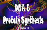 Chapter 12.  -Human-Genome-Project-Video--3D- Animation-  -Human-Genome-Project-Video-