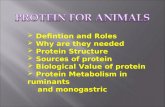 Defintion and Roles  Why are they needed  Protein Structure  Sources of protein  Biological Value of protein  Protein Metabolism in ruminants and.