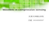 Wavelets in compressive sensing 天津大学精仪学院 闫超 1014202037.