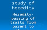 Genetics- the study of heredity Heredity- passing of traits from parent to offspring.