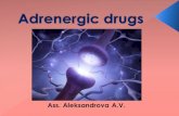 Adrenergic drugs Ass. Aleksandrova A.V..