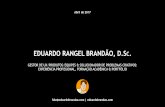 [VERSÃO REDUZIDA] Eduardo Rangel Brandão, D.Sc. Gestor de UX/Produtos/Equipes & Solucionador de Problemas Criativos: Experiência Profissional, Formação Acadêmica e Portfólio