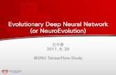 Evolutionary (deep) neural network