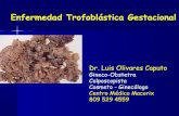 5. mola hidatiforme y manejo. dr. luis olivares