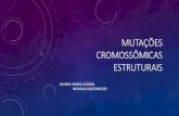 Mutações cromossômicas estruturais