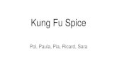 Kung fu spice