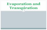 Evaporation and transpiration for hydrology subject