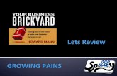 Your Business Brickyard - Howard Mann - a Book review