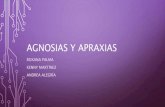 Agnosias y apraxias  neuropsicologia Psicofisiologia