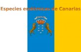 Especies autóctonas de Canarias.