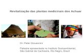 Revitalization of Achuar traditional medicine (Portuguese version)