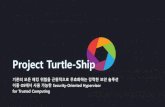 Project turtle ship