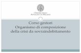 Corso per i gestori dell'organismo di composizione della crisi da sovraindebitamento (parte 3)