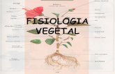 Fisiologia vegetal movimentos e hormonios