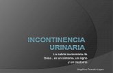 Incontinencia urinaria ginecologia