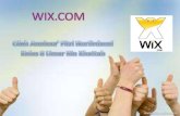 All about wix