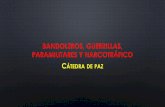 Bandoleros, guerrillas, paramilitares y narcotráfico