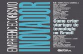 Amostra do nosso livro "Empreendedorismo inovador: como criar startups de tecnologia no Brasil" (Ed Évora)