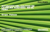 Ponencia 1   situación del cultivo de palma aceitera en el perú