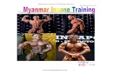 MYANMAR INSANE TRAINING - Thaing Wizard · PDF fileေႀကာင္းကိုမႀကာမွီမွာပင္ casey viator ကိုအသက္ 19- ... ဆရာ ႀကီးဂ