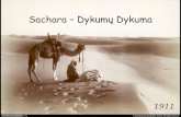 Sachara – Dykumų Dykuma - geografija.ltgeografija.lt/wp-content/uploads/2011/03/sachara_mini.pdf · Svarbus baltymų šaltinis klajoklių mityboje – skėriai.