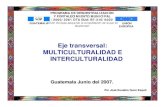 Eje transversal: MULTICULTURALIDAD E …eeas.europa.eu/archives/delegations/guatemala/documents/more_info/... · ¾GARIFUNA ¾XINCA ... NUESTROS MAYAS, ... maya, xinka, garífuna