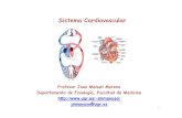 Sistema Cardiovascular I - ugr.esjmmayuso/Archivos colgados Terapia/Sistema... · 2 BASES FISIOLÓGICAS DE LA PRÁCTICA MÉDICA Best & Taylor Editorial: Panamericana FISIOLOGÍA HUMANA