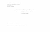 Financial Analysis Project -   · PDF fileFinancial Analysis Project ... Analysis of Financial Statements (Ratio Analysis)  ... Analysis of Financial Statements
