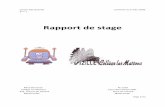 Rapport de stage -   · PDF filePage 1/12 Comte-Gaz Quentin 13 février au 6 mars 2006 3ème 1 Rapport de stage Mme Bouverot M. Colin Collège Les Mattons